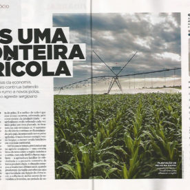 Revista Exame aponta Sergipe como novo polo agrícola nacional
