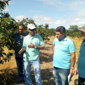 Assistidos pela Cohidro visitam produção de uva, pera e indústria em Petrolina