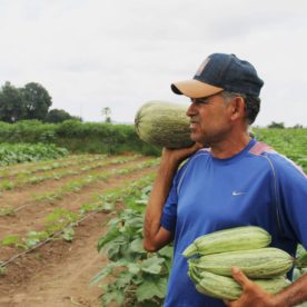[vídeo] Irrigante dá lição de alta produtividade em pequeno espaço no Sergipe Rural