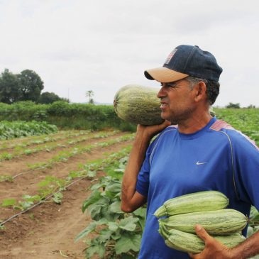 [perfil] Agricultor irrigante Nilson dá lição de alta produtividade em pequeno espaço