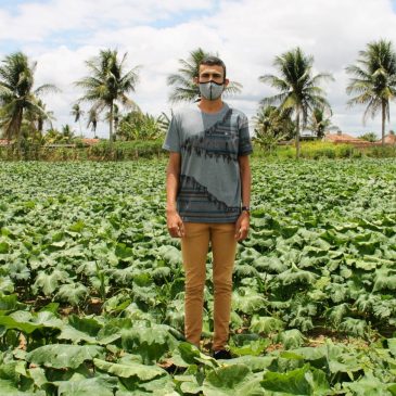 [vídeo] Irrigantes de Lagarto apostam na abóbora de olho no bom preço